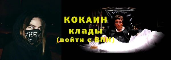 дживик Корсаков