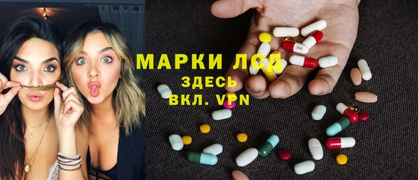 дживик Корсаков